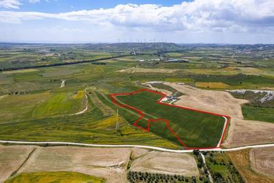 Agricultural field in Kalo Chorio, Larnaca thumbnail 2