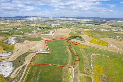 Agricultural field in Kalo Chorio, Larnaca thumbnail 5