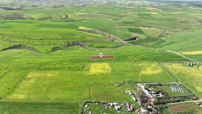 Livestock field in Peristerona, Nicosia thumbnail 3