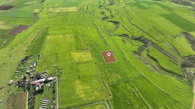Livestock field in Peristerona, Nicosia thumbnail 4