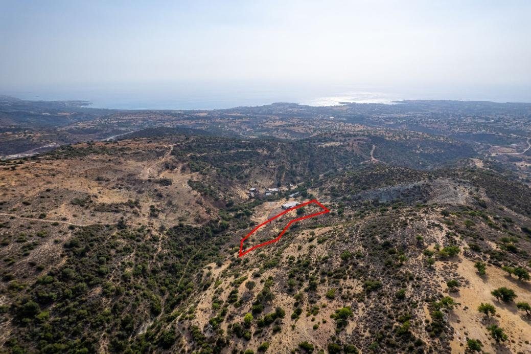 Agricultural field in Pegeia, Paphos photo 1