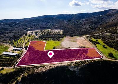 Two agricultural fields, Skarinou, Larnaca thumbnail 4