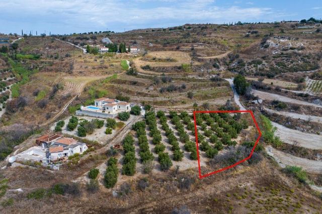 Agricultural field in Polemi, Paphos