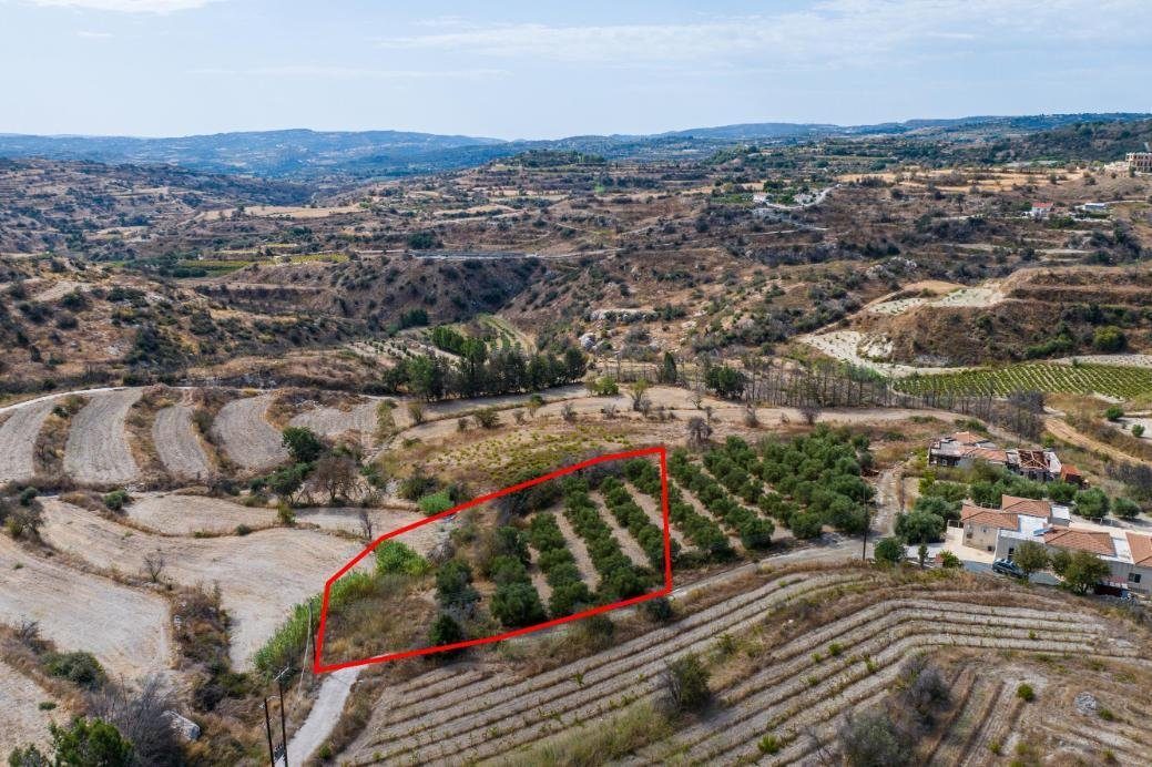 Agricultural field in Polemi, Paphos photo 3