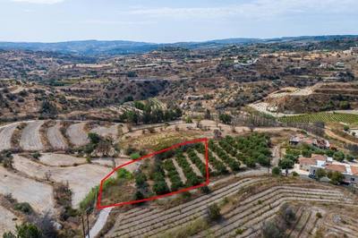 Agricultural field in Polemi, Paphos thumbnail 3