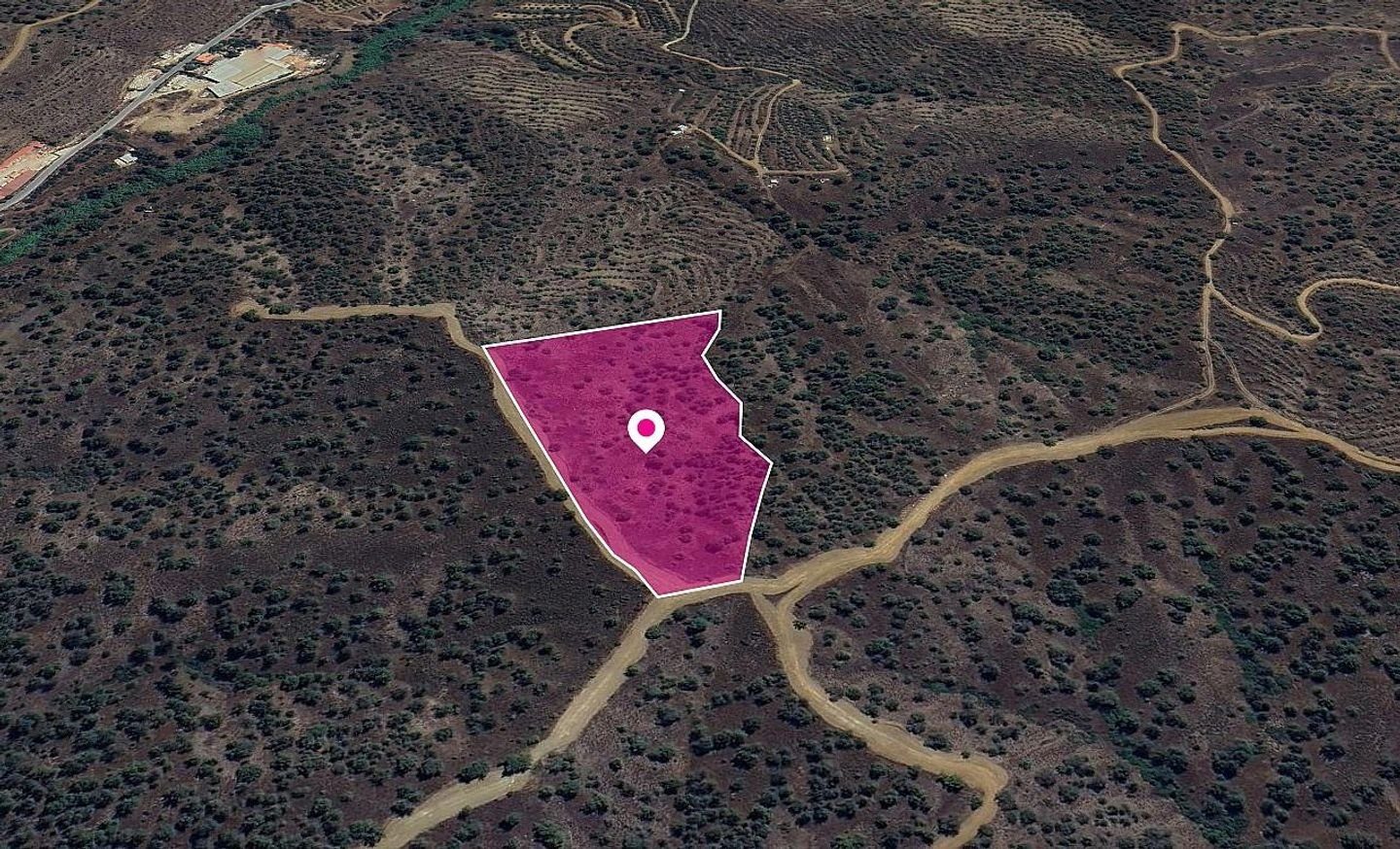 (Share) Agricultural field in Agios Theodoros Soleas, Nicosia photo 3