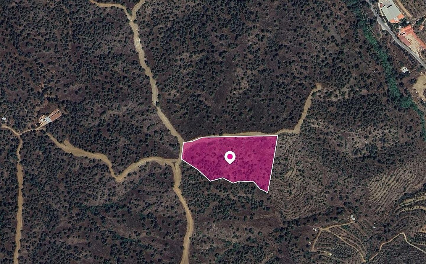 (Share) Agricultural field in Agios Theodoros Soleas, Nicosia photo 1