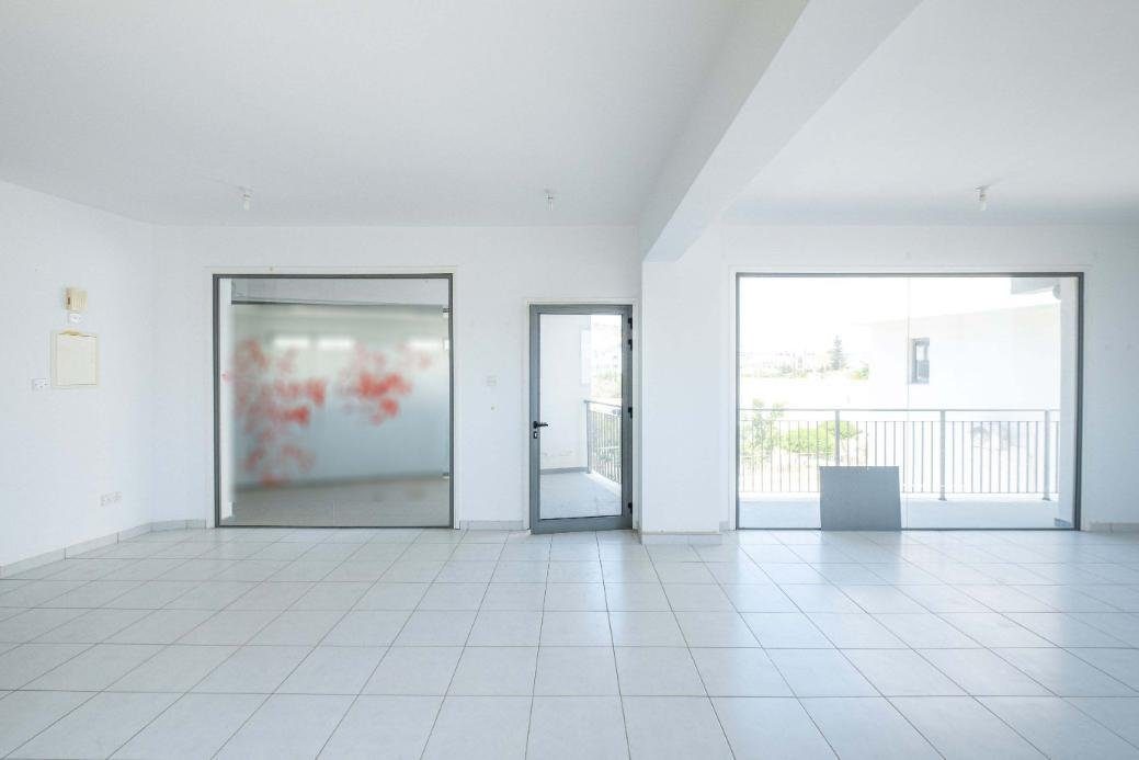 Office and shop in Voroklini, Larnaca photo 4