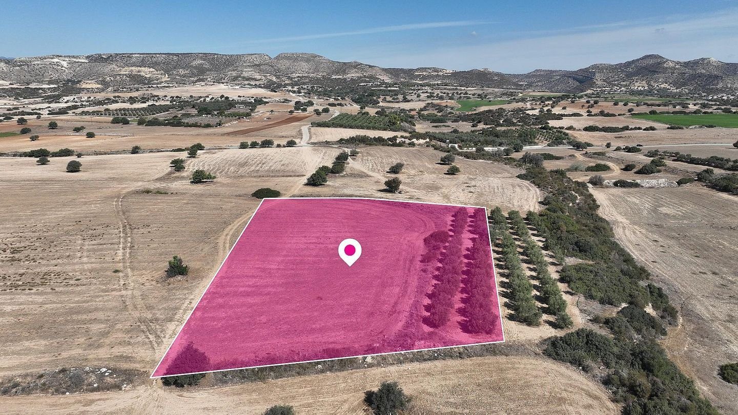 Sea View Touristic field in Agios Theodoros, Larnaca — photo 4
