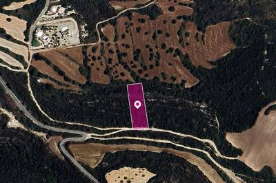 Field in Kritou Tera, Paphos thumbnail 1