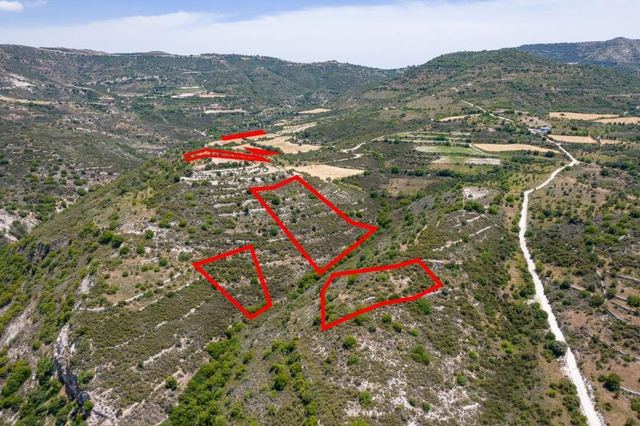 Fields in Dora, Limassol