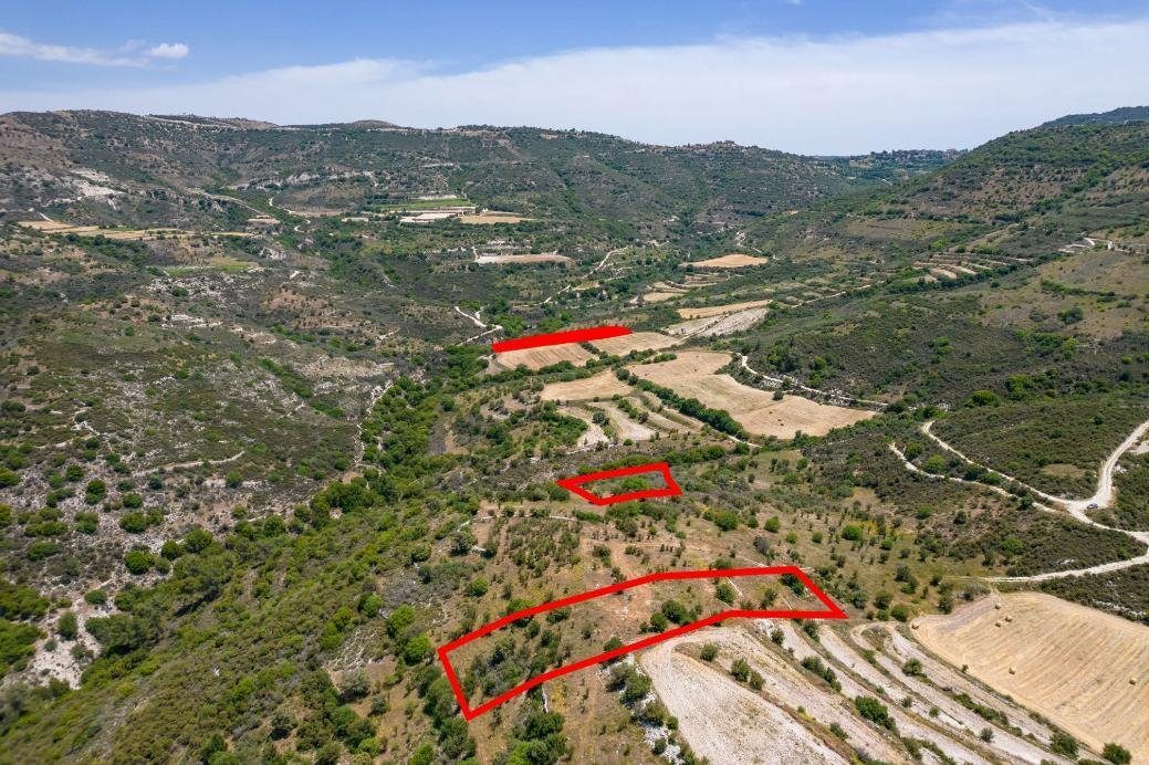 Fields in Dora, Limassol photo 4