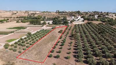 Countryside Plot in Agia Varvara, Paphos thumbnail 1