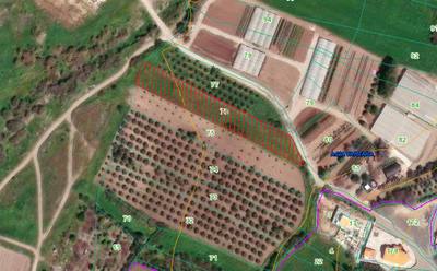 Countryside Plot in Agia Varvara, Paphos thumbnail 5