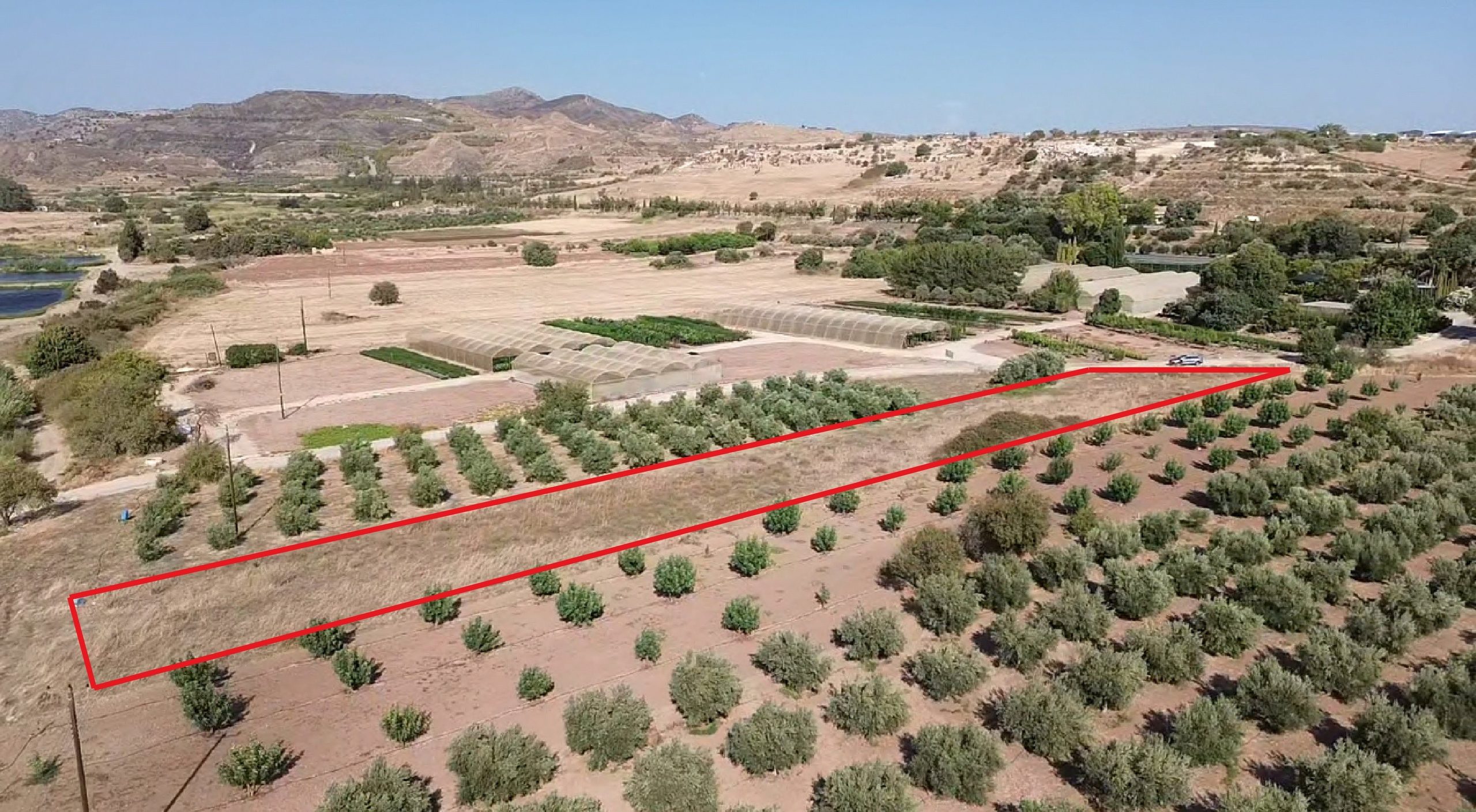 Countryside Plot in Agia Varvara, Paphos photo 4