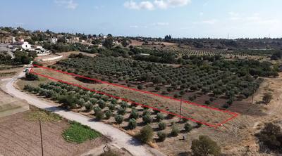 Countryside Plot in Agia Varvara, Paphos thumbnail 3