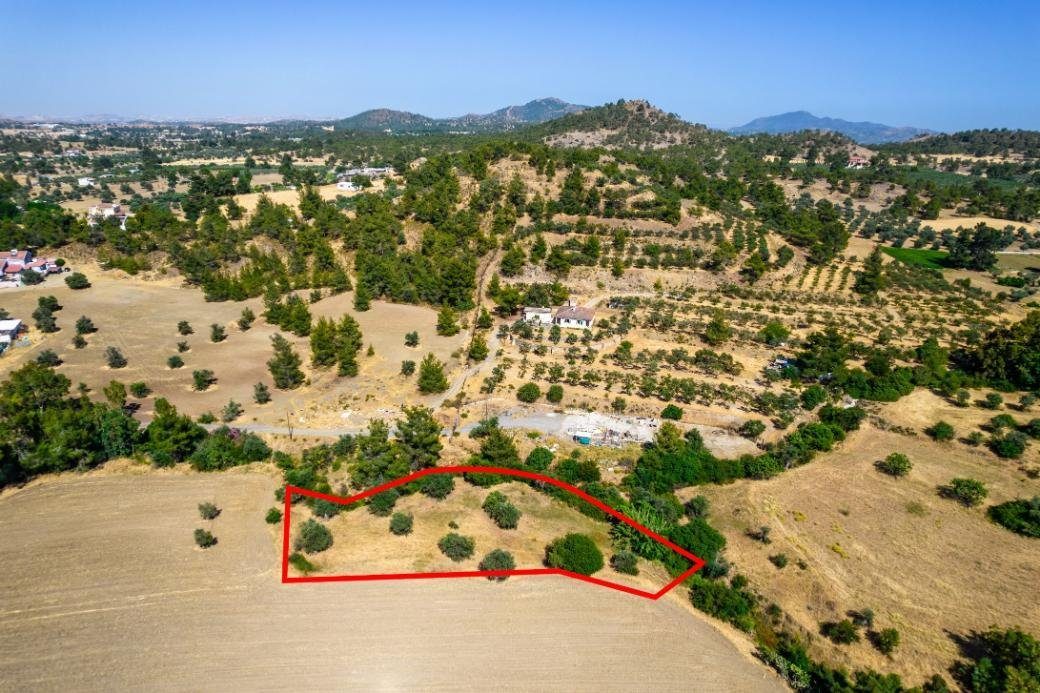 Residential field in Lythrodontas, Nicosia photo 1