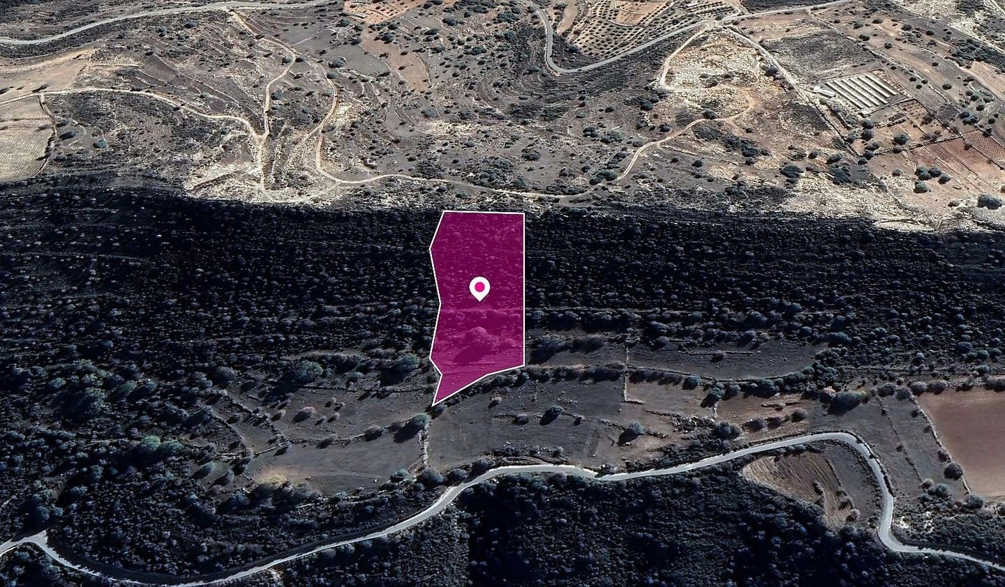 Agricultural Field in Pachna, Limassol photo 3