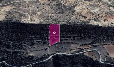 Agricultural Field in Pachna, Limassol thumbnail 3