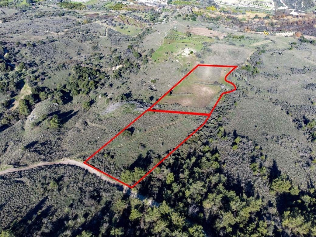 Two fields in Prastio, Paphos photo 2