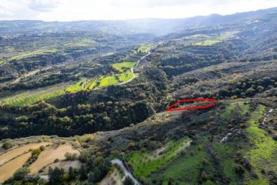 Agricultural field in Miliou, Paphos thumbnail 3