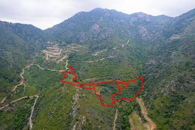 Field in Agioi Vavatsinias, Larnaca thumbnail 2