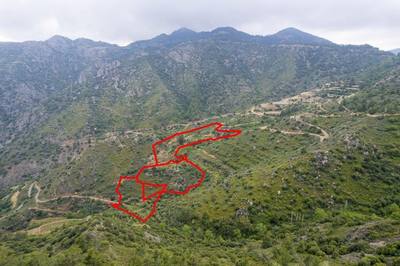Field in Agioi Vavatsinias, Larnaca thumbnail 3