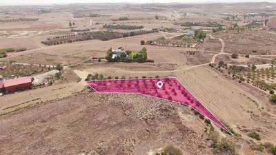 Residential field in Geri Nicosia thumbnail 3