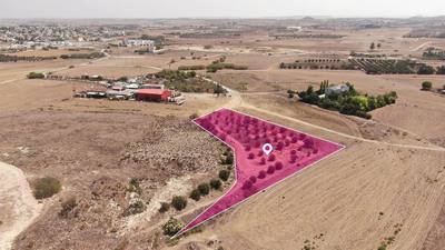 Residential field in Geri Nicosia thumbnail 4