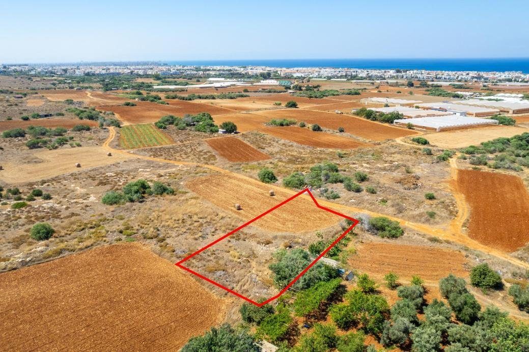 Shared residential field in Deryneia, Famagusta — photo 3
