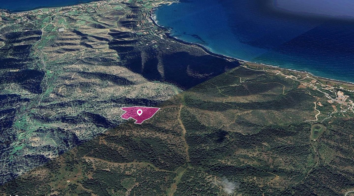 (Share) Field in Pomos, Paphos photo 2