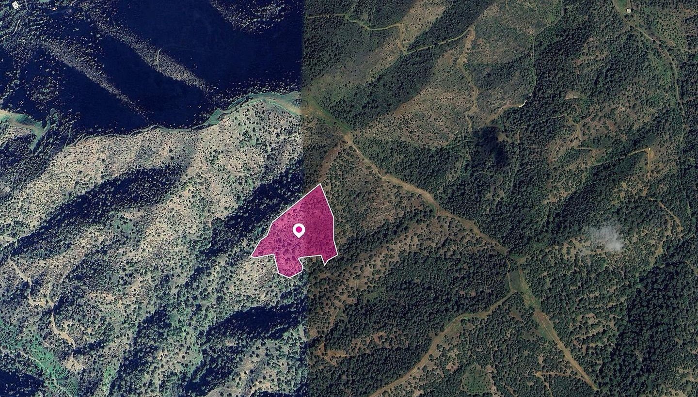 (Share) Field in Pomos, Paphos photo 1