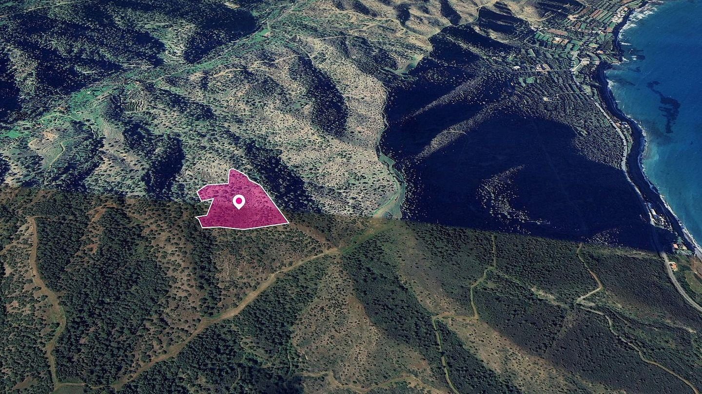 (Share) Field in Pomos, Paphos photo 3