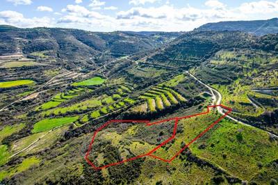 Fields in Dora, Limassol thumbnail 2