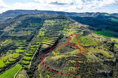 Fields in Dora, Limassol thumbnail 3
