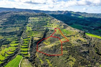 Fields in Dora, Limassol thumbnail 1