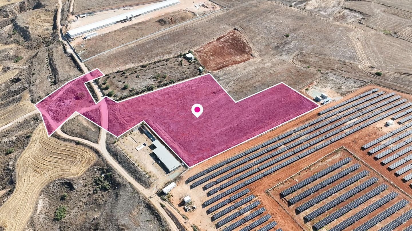 Livestock field in Pano Deftera, Nicosia photo 2