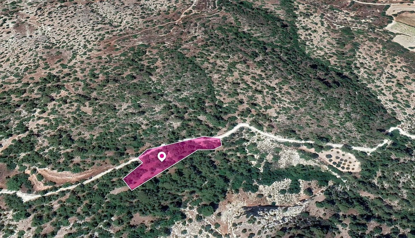Field in Amargeti, Paphos — photo 2