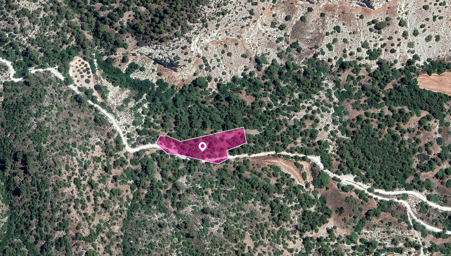 Field in Amargeti, Paphos
