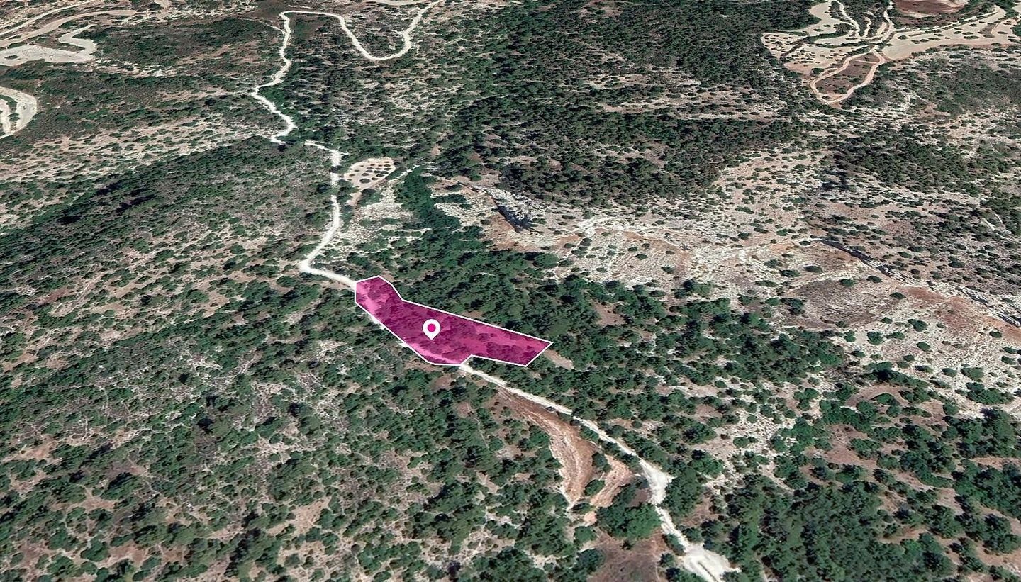 Field in Amargeti, Paphos — photo 3