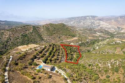 Field in Dora, Limassol thumbnail 1