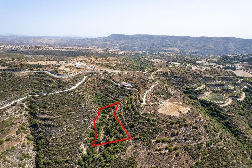 Field in Dora, Limassol photo 3