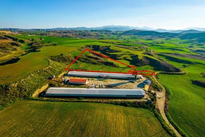 Agricultural field in Agios Ioannis, Nicosia thumbnail 3