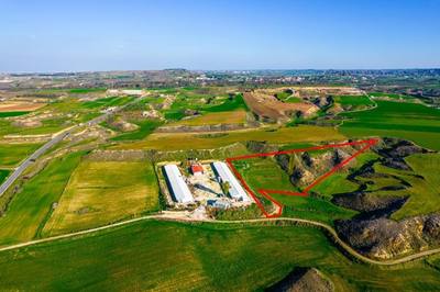 Agricultural field in Agios Ioannis, Nicosia thumbnail 2